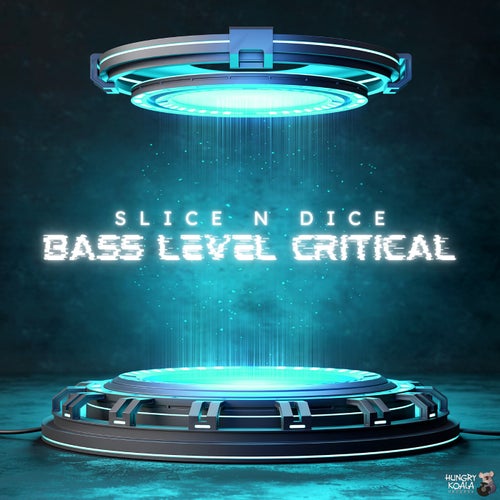 Bass Level Critical (Extended Mix)