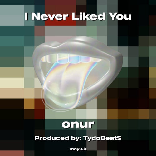 I Never Liked You