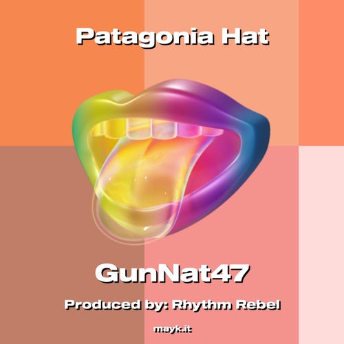 Patagonia Hat