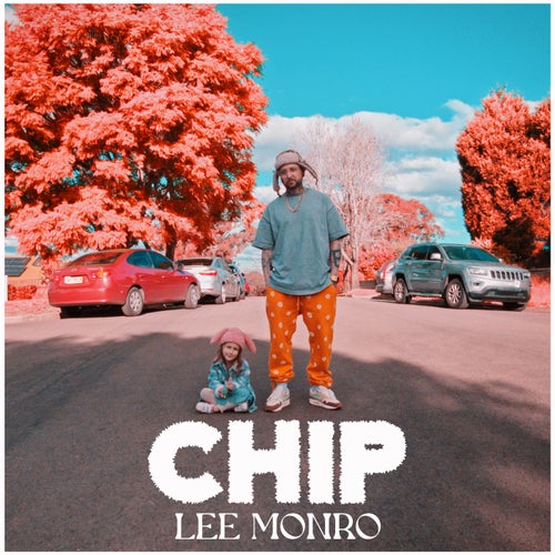 Chip