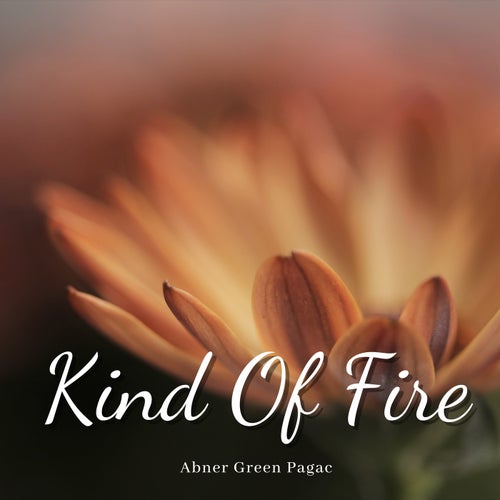 Kind Of Fire