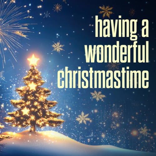 having a wonderful christmastime