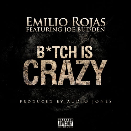 B*tch is Crazy (feat. Joe Budden) - Single