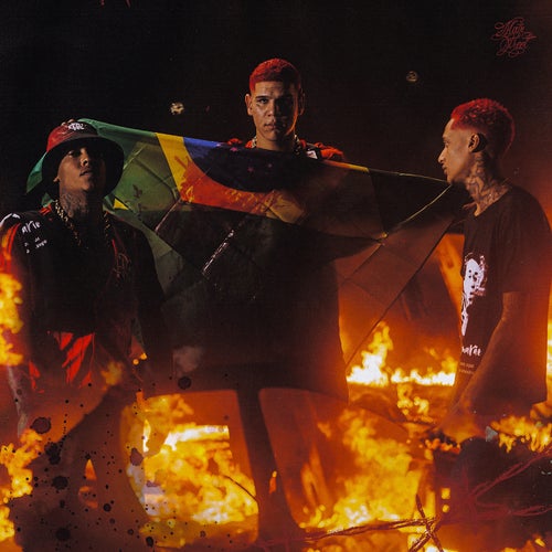 Manifesto #1 - A Rua Cercada por Divisão