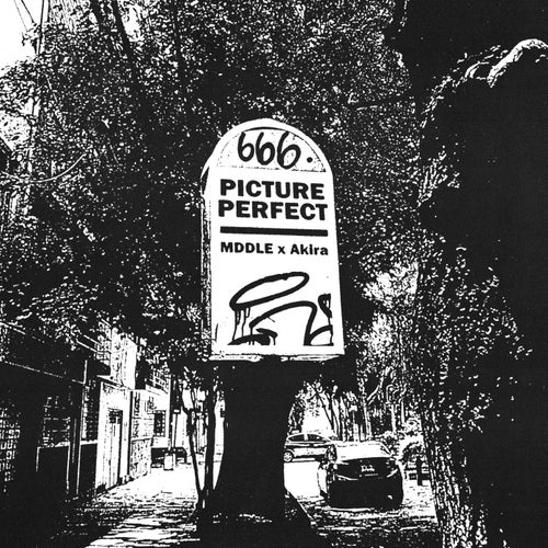 picture perfect