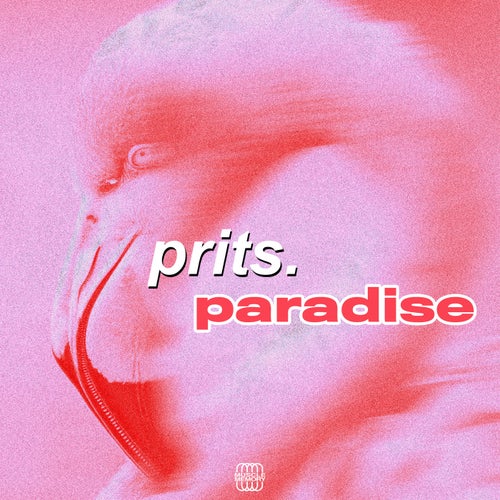 Release of the week