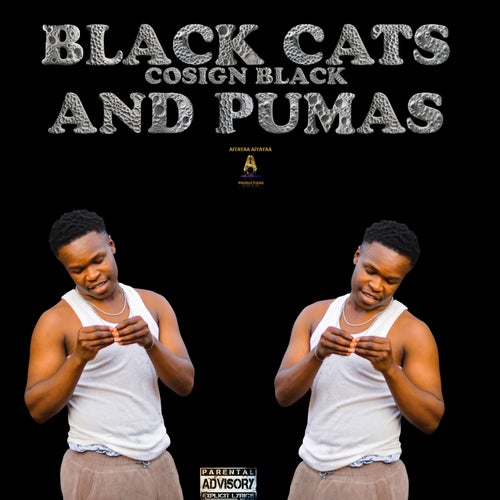 Black Cats & Pumas