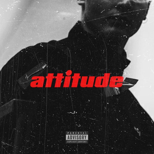 Attitude