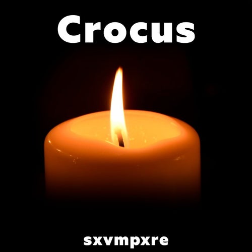 Crocus