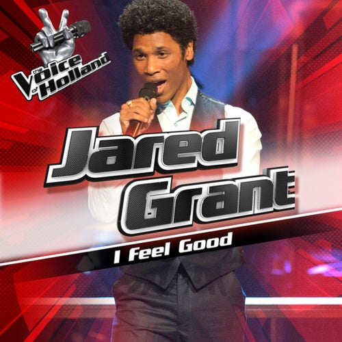 I Feel Good (From The Voice Of Holland 6)