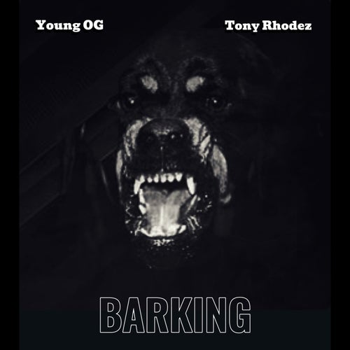 Barking