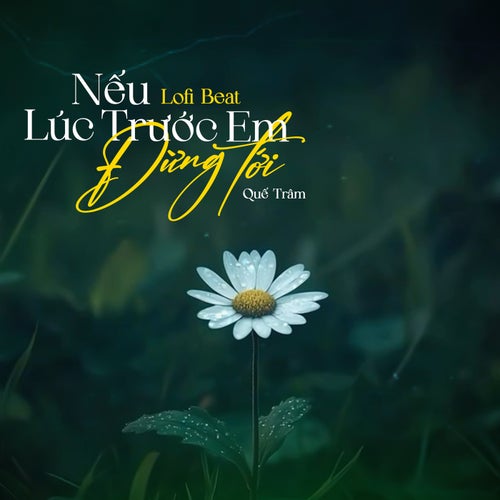 Nếu Lúc Trước Em Đừng Tới (Beat) (Lofi Mix)