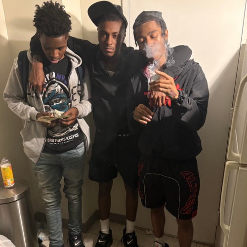 Free Ant