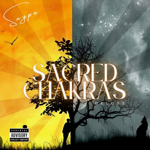 Sacred Chakaras (Deluxe)