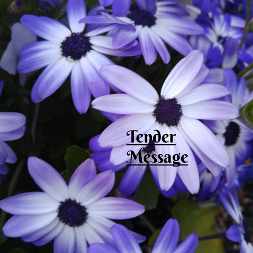 Tender Message