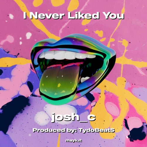 I Never Liked You