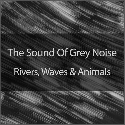 Grey Noise 