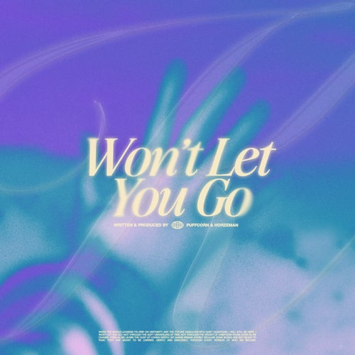 Won't Let You Go