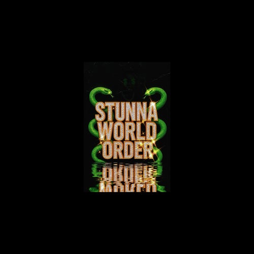 StunnaWorldOrder