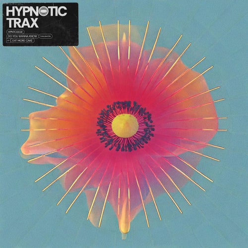 Release of the week