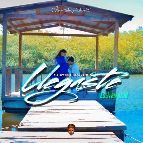 Llegaste (feat. Diosfranyi)