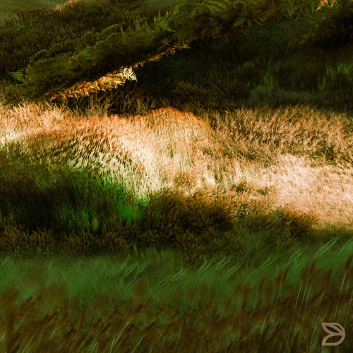 Small Piece Of Light