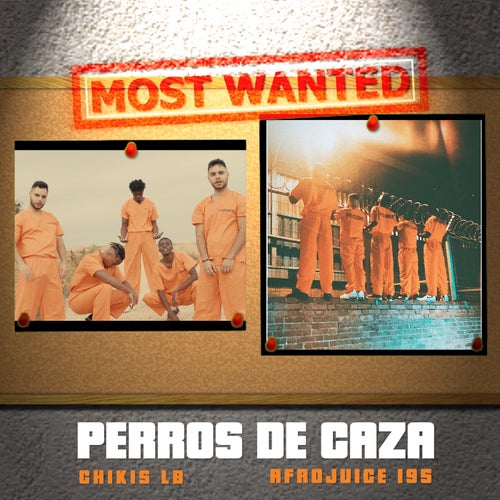 Perros de Caza