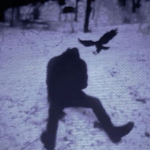 vanished