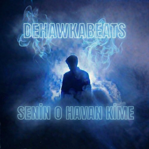 Senin O Havan Kime