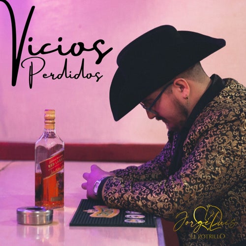 Vicios Perdidos