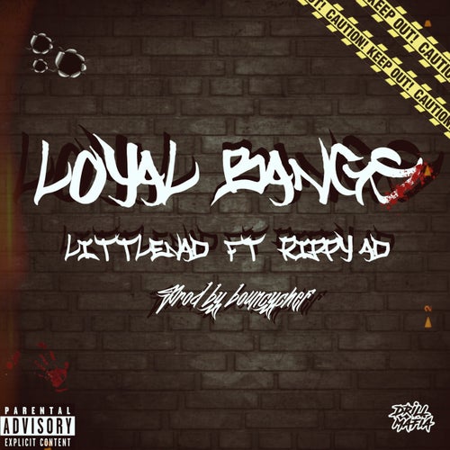 Loyal Bangs