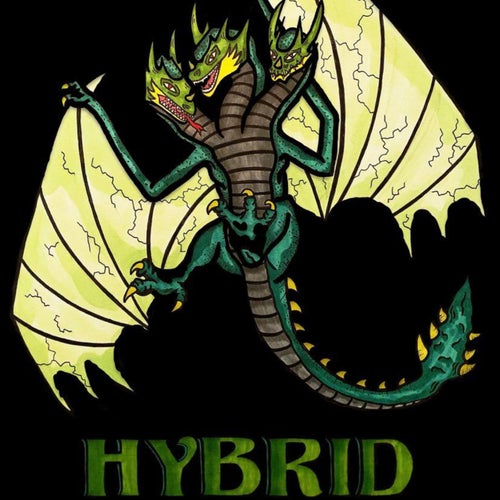 HYBRID