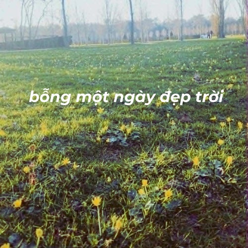bỗng một ngày đẹp trời