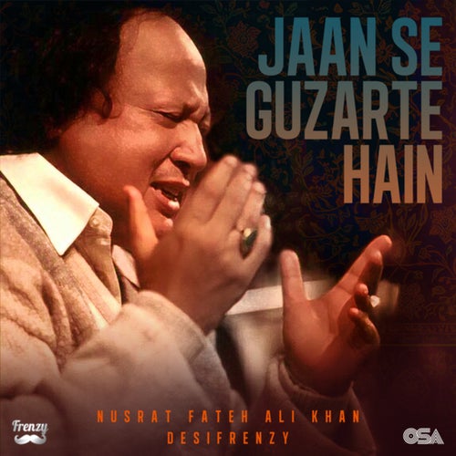 Jaan Se Guzarte Hain (Remix / Dil Pe Zakham Khate Hain)