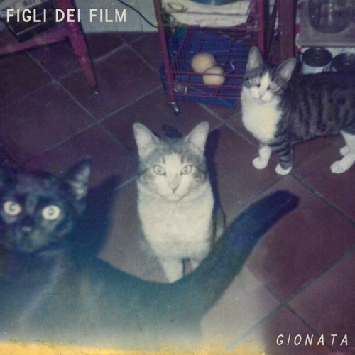 Figli dei film