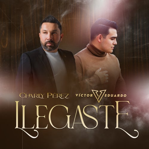 Llegaste