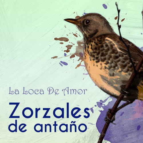 Zorzales de Antaño…La Loca De Amor