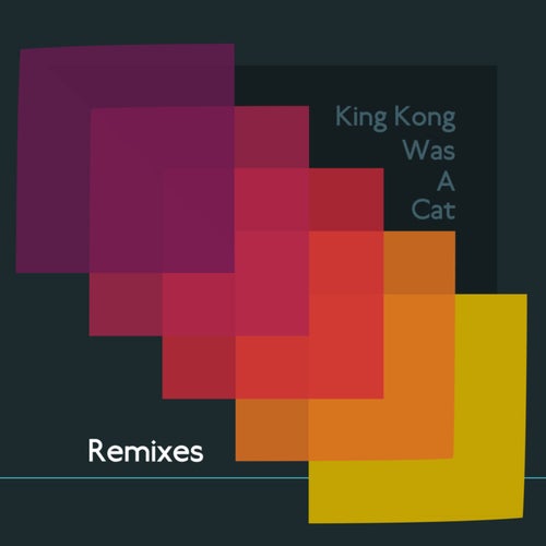 Remixes (King Kong Was a Cat Remix)