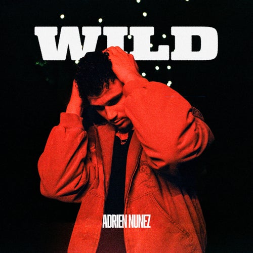 Release of the week
