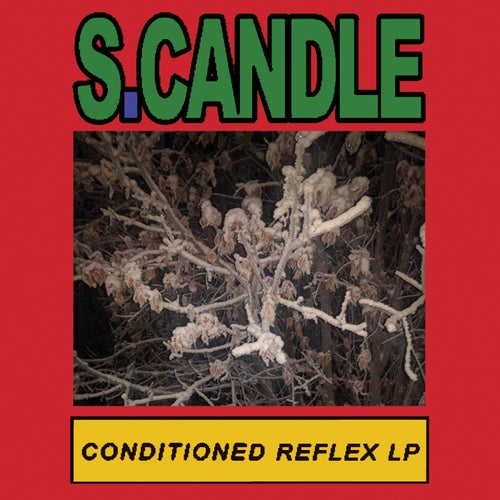 Conditioned Reflex