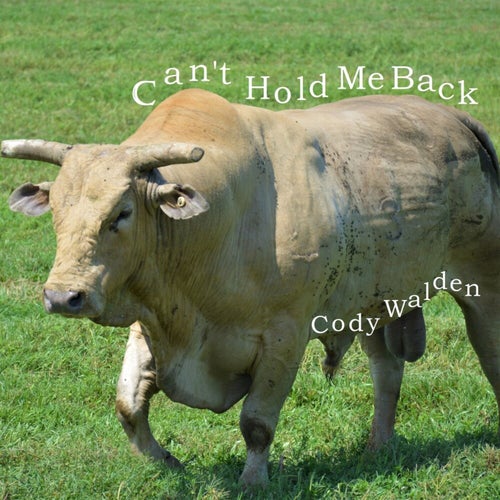 Can't Hold Me Back