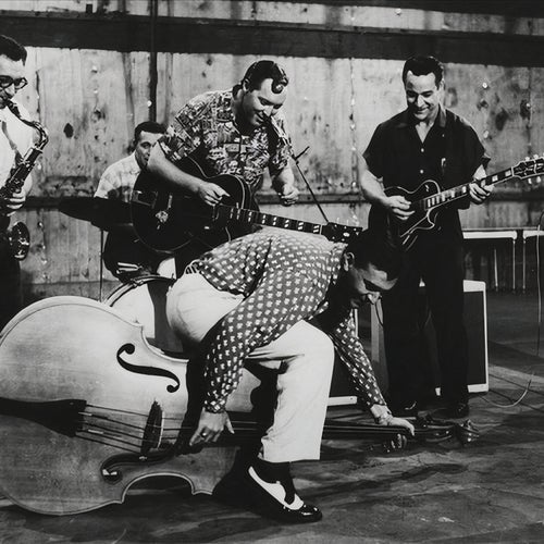 Bill Haley Profile