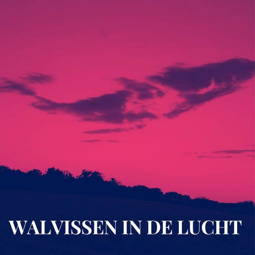 Walvissen In De Lucht
