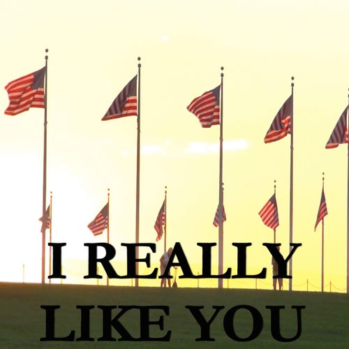I Really Like You - Tribute to Carly Rae Jepsen 