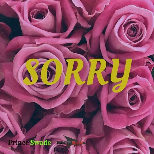 Sorry