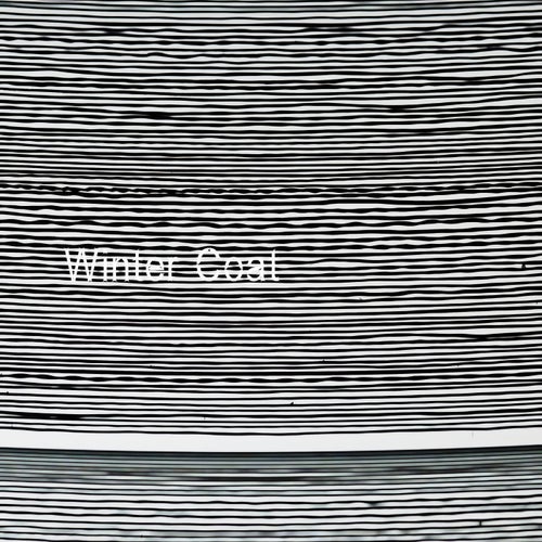 Winter Coat