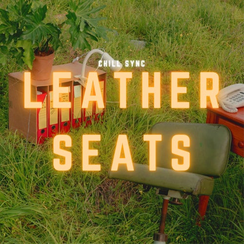 Leather Seats