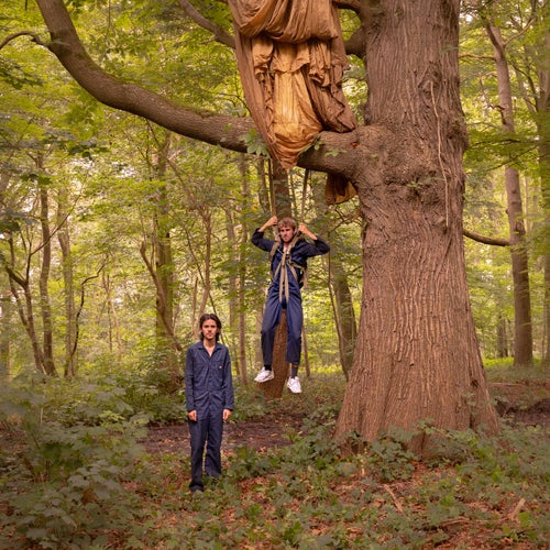 Tussen De Bomen