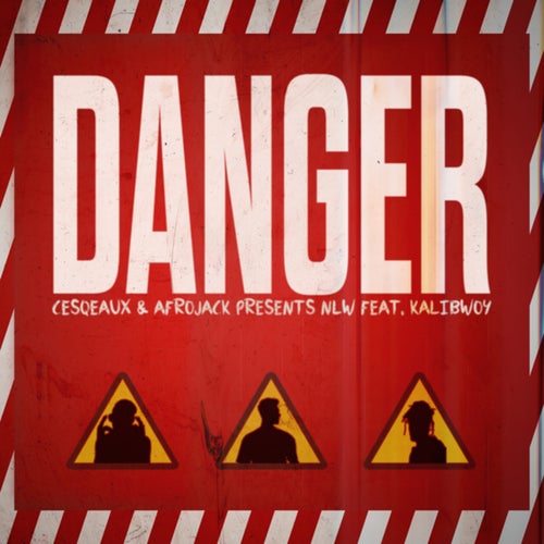 Danger (AFROJACK Presents NLW)