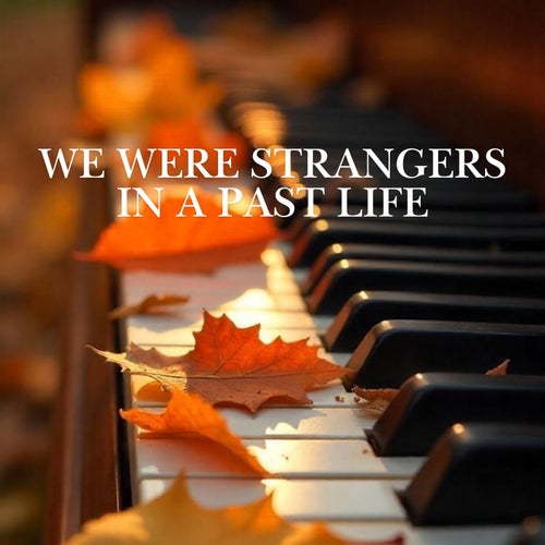 We Were Strangers in a Past Life